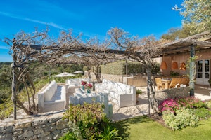 Verdant Vineyards image 13