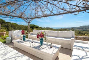 Verdant Vineyards image 3