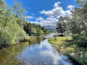 The Highland Retreat image 15