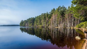 The Highland Retreat image 3