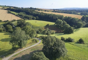 Rural Jewel image 8