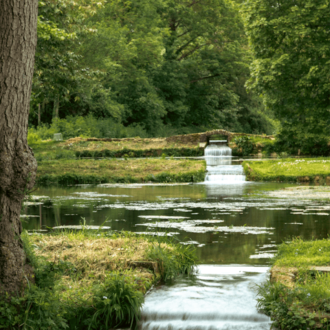 Explore the beautiful countryside of Somerset