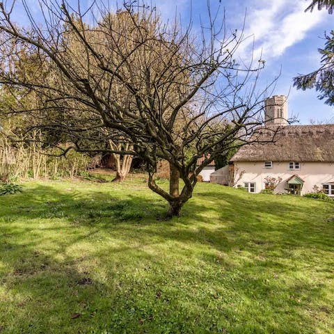 Relax in the tranquil setting of the back garden 