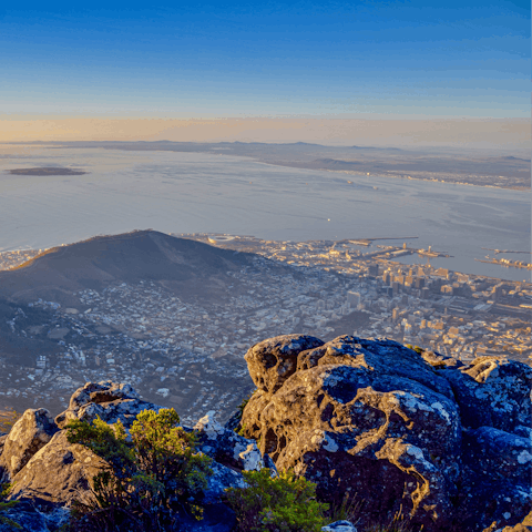 Go Hiking in Table Mountain Nature Reserve