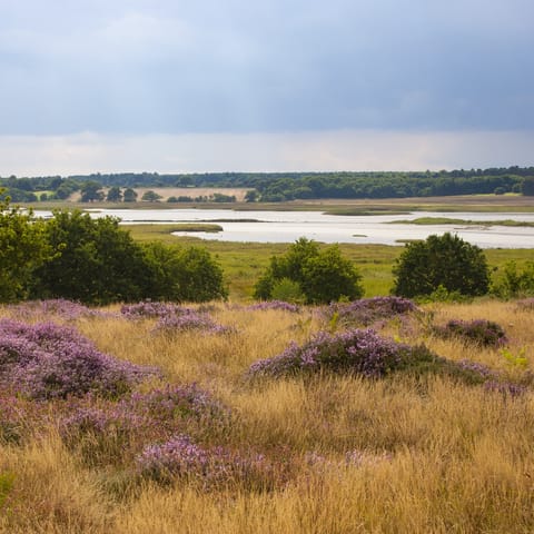 Explore the beautiful Suffolk coast and marshes on your doorstep