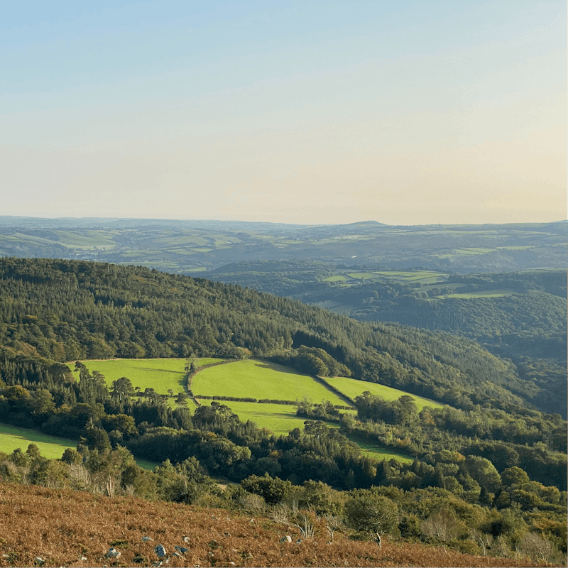 Hike through the untamed landscapes of Dartmoor National Park, approximately half an hour's drive