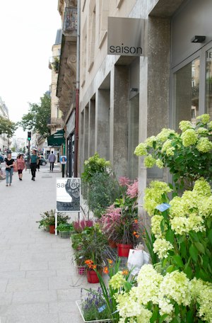 Haussmannian Hideaway image 11