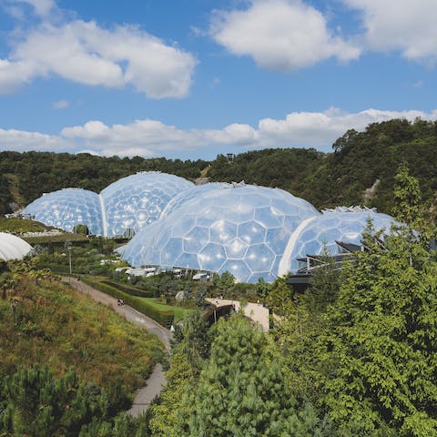 Drive ten minutes to marvel at the eco wonder of The Eden Project