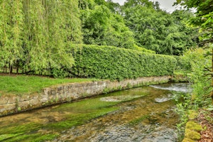 Lush River Retreat image 6