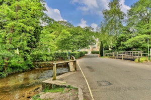 Lush River Retreat image 4