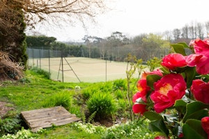 Calm & Cosy image 7