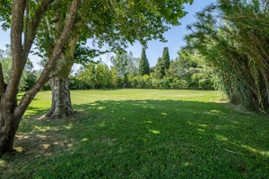 Sorgue Serene image 8
