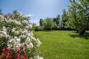 Sorgue Serene image 5