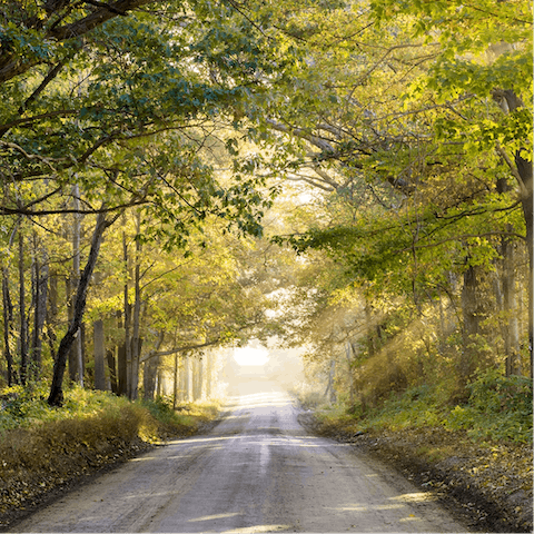 Explore the surrounding countryside or have a picnic in the shared grounds