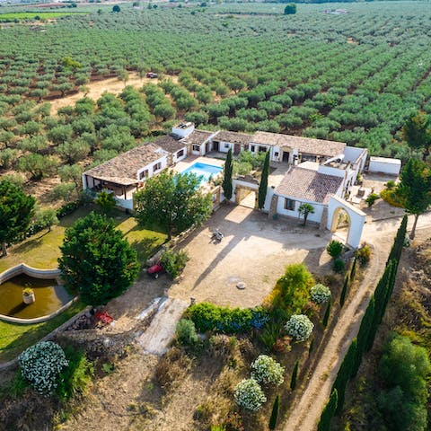 Stay amidst acres and acres of olive groves in the Sicilian countryside