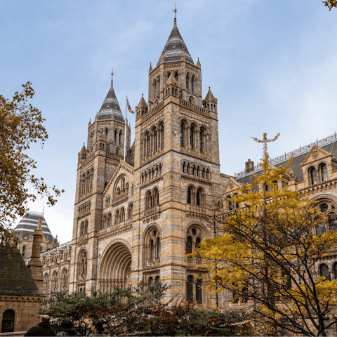 Stay in Kensington just a twenty-minute walk from the Natural History Museum