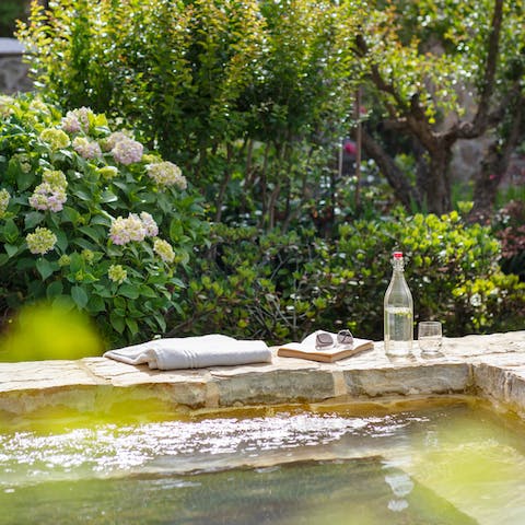 Soak up the sun in the plunge pool in the manicured garden