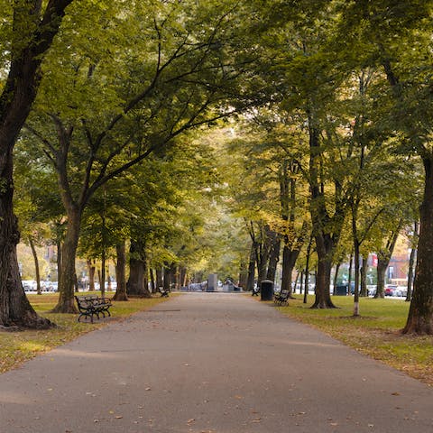 Explore the tree-lined streets of Back Bay, complete with brownstone architecture