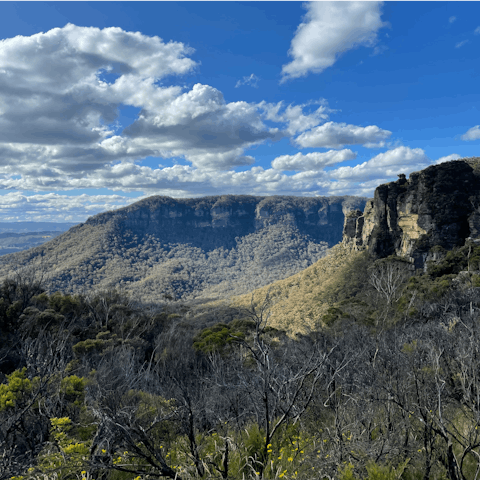 Take to the trails of the Blue Mountains World Heritage National Park