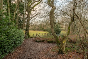 Quaystone image 5