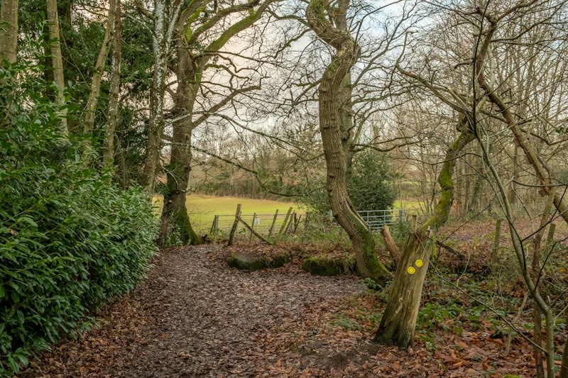 Quaystone additional image