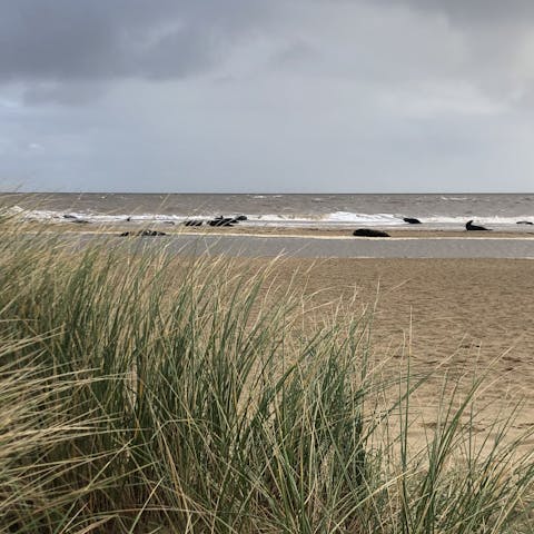 And keep an eye out for the local residents – the coastline’s famous Grey Seals