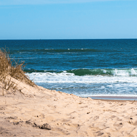 Admire the rugged beauty of The Hamptons
