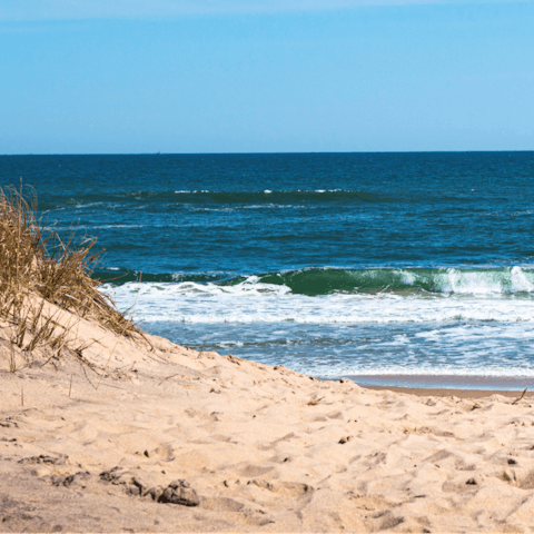 Admire the rugged beauty of The Hamptons