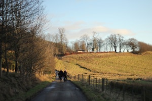 Shepherd's Watch image 12