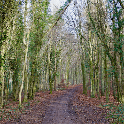 Go for a walk through the Stroud countryside, with many paths and woodlands easily reachable on foot