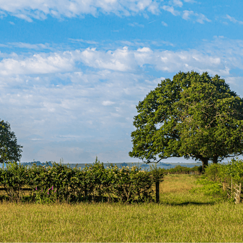 Drive less than ten minutes to High Weald