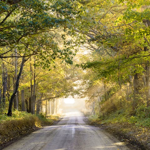 Explore the beautiful scenery on your doorstep