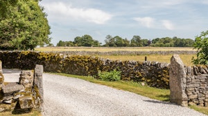 Green Fields image 8