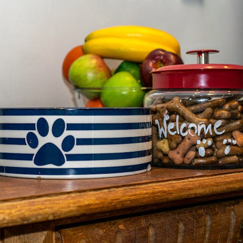 Let your pooch have a little treat, courtesy of your generous host
