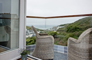 Grey Seal image 13