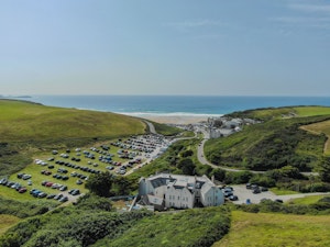 Grey Seal image 3