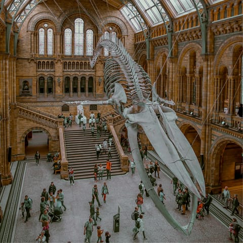 Hop on the District line to South Kensington and check out the Natural History Museum