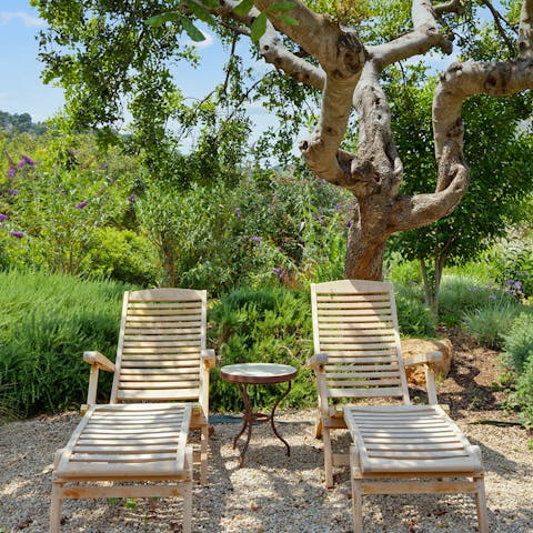 Find a shaded spot to dip into a good book