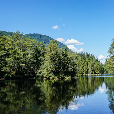 Explore the trails or take a guided tour at the National Nature Reserve of La Bassée