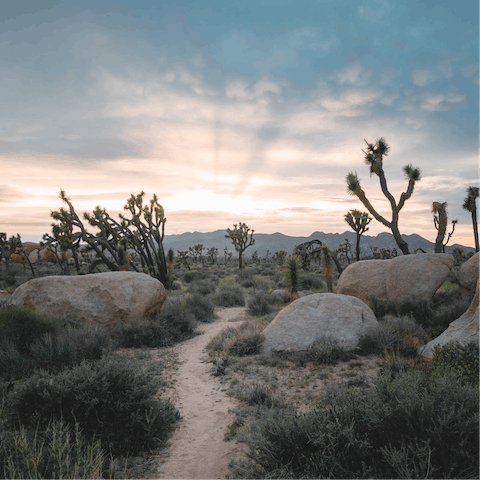 Drive eight minutes to downtown Joshua Tree for dinner and cocktails