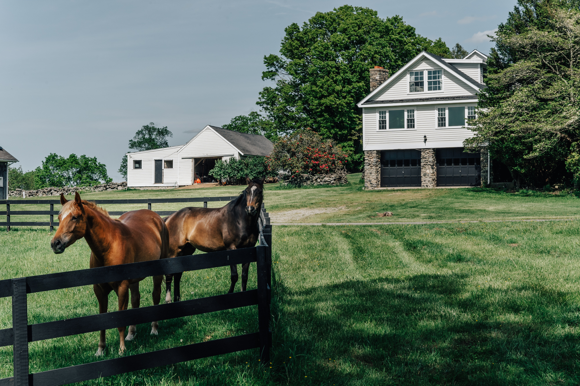 Mystic Countryside Farm