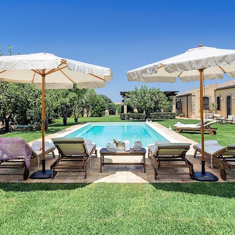 Relax by the pool surrounded by citrus trees