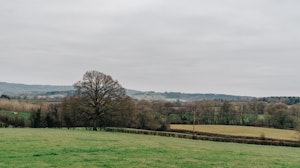 Haybales & Horses image 13