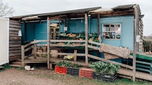 Haybales & Horses image 6