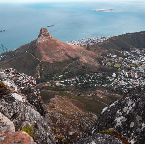 Hike to the summit of Table Mountain, a short drive away