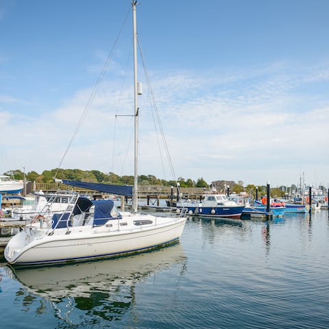 Make the most of your time in Lymington: explore both the coast and the New Forest