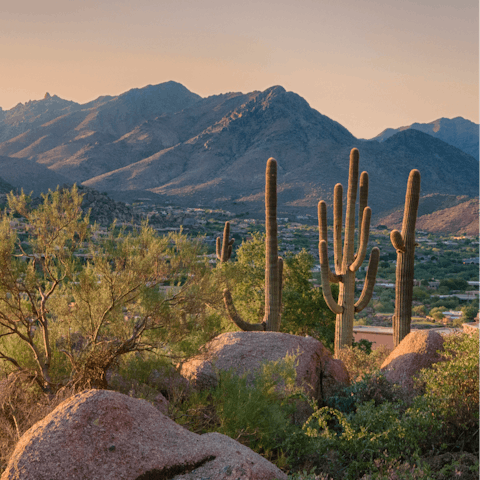 Grab your hiking boots and follow desert trails