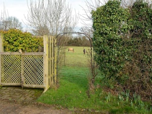 Charming Chilterns image 7