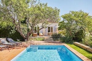 Bougainvillea & Jasmine image 1