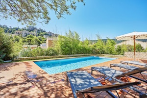 Bougainvillea & Jasmine image 10